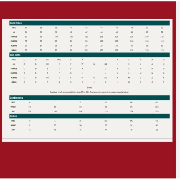 New Lace Goddess Corset Bustier – Black (Multiple Sizes) - Picture 7 of 9